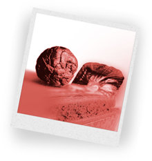 A hasis egy sárgásbarna, barna vagy fekete gyanta, amit kiszárítanak, majd tábla, rúd vagy golyó alakba préselnek. Amikor cigarettában vagy pipában szívják, mind a marihuána, mind a hasis jellegzetes, édeskés szagot áraszt.