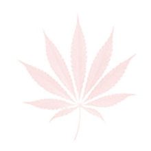 Man and group of people smoking weed.