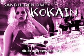 Sandheden om kokain