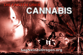 Fakten über Cannabis