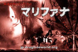 真実を知ってください：<br/>マリファナ