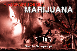 A Verdade sobre a Marijuana