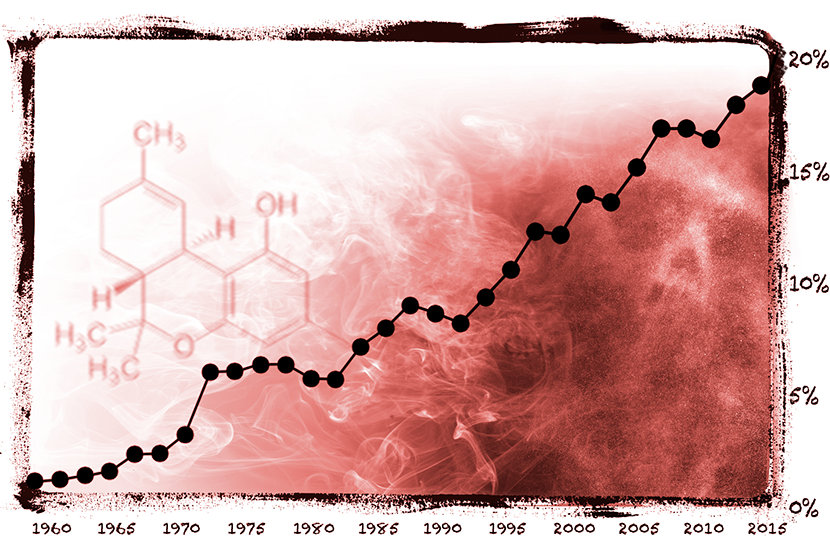 
THCが増大すると、薬物はもっと精神に影響を与え、乱用、薬物依存、そしてその他の有害な影響が高まります。
